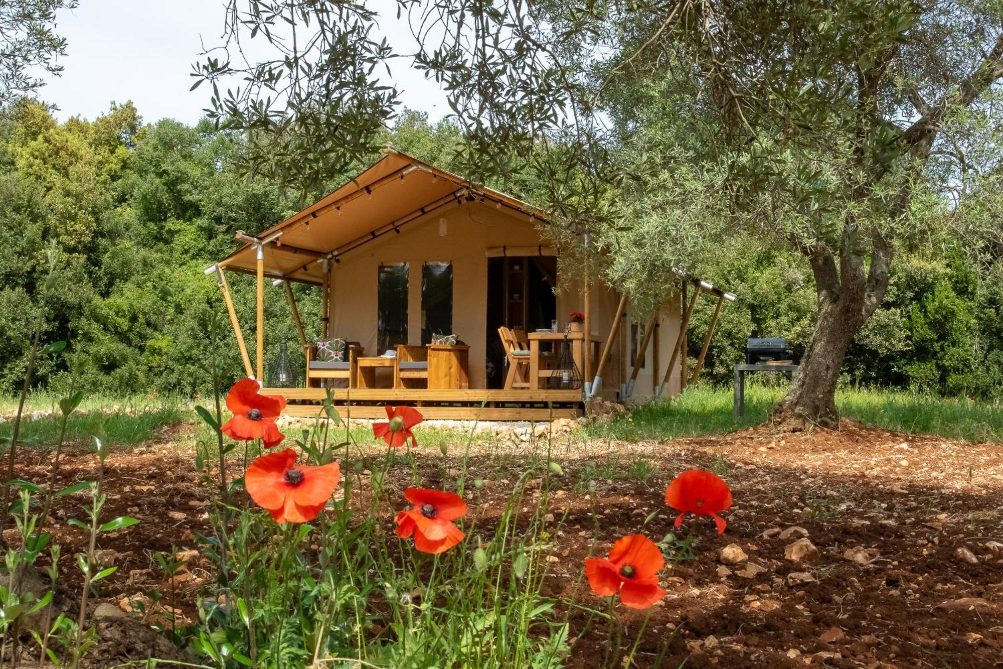 Domus Olea Glamping Hotel Ceglie Messapica Exterior foto
